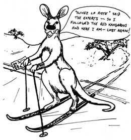 Red Kangaroo cartoon